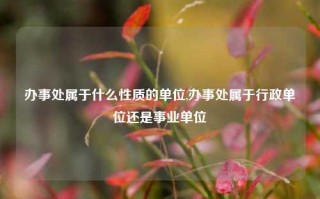 办事处属于什么性质的单位,办事处属于行政单位还是事业单位