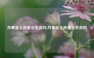 办事处上班是公务员吗,办事处上班是公务员吗