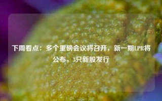 下周看点：多个重磅会议将召开，新一期LPR将公布，3只新股发行