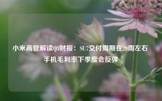 小米高管解读Q3财报：SU7交付周期在20周左右 手机毛利率下季度会反弹