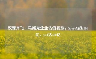 双翼齐飞，马斯克企业估值暴涨，SpaceX超2500亿，xAI达450亿