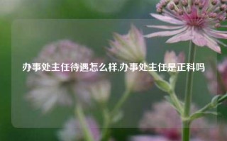 办事处主任待遇怎么样,办事处主任是正科吗