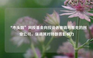 “木头姐”风投基金向投资者推销马斯克的创业公司，强调其对特朗普影响力