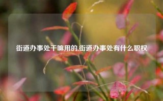 街道办事处干嘛用的,街道办事处有什么职权