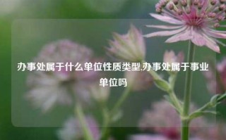 办事处属于什么单位性质类型,办事处属于事业单位吗