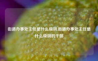 街道办事处主任是什么级别,街道办事处主任是什么级别的干部