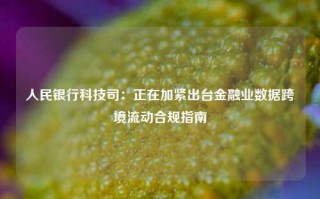 人民银行科技司：正在加紧出台金融业数据跨境流动合规指南