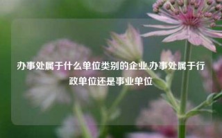 办事处属于什么单位类别的企业,办事处属于行政单位还是事业单位