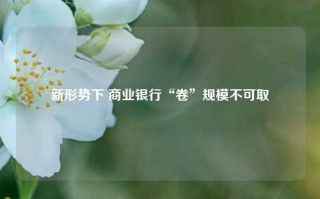 新形势下 商业银行“卷”规模不可取