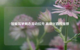 智能驾驶概念异动拉升 高新兴直线涨停