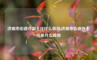 济南市街道办副主任什么级别,济南市街道办主任是什么级别