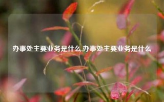 办事处主要业务是什么,办事处主要业务是什么