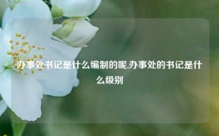 办事处书记是什么编制的呢,办事处的书记是什么级别