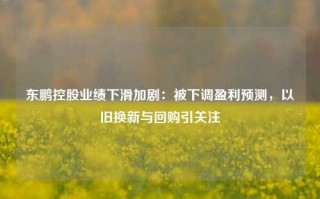 东鹏控股业绩下滑加剧：被下调盈利预测，以旧换新与回购引关注