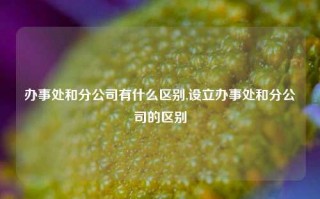 办事处和分公司有什么区别,设立办事处和分公司的区别