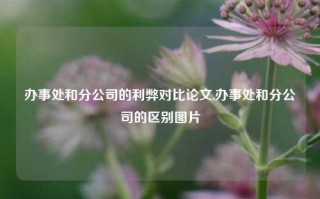 办事处和分公司的利弊对比论文,办事处和分公司的区别图片