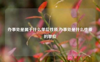 办事处是属于什么单位性质,办事处是什么性质的单位