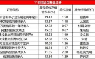 11月混合型基金红黑榜：北交所主题遥遥领先，多位知名基金经理颓势难逆转