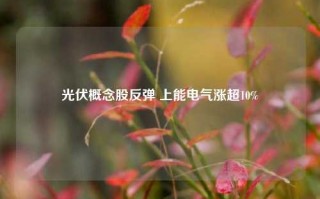 光伏概念股反弹 上能电气涨超10%