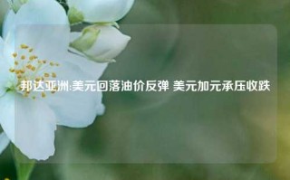 邦达亚洲:美元回落油价反弹 美元加元承压收跌