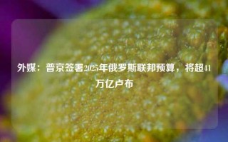 外媒：普京签署2025年俄罗斯联邦预算，将超41万亿卢布