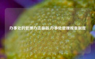 办事处的管理办法最新,办事处管理规章制度