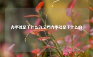 办事处是干什么的,公司办事处是干什么的