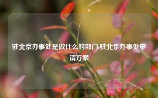 驻北京办事处是做什么的部门,驻北京办事处申请方案