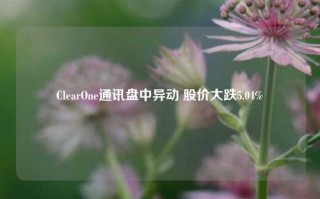 ClearOne通讯盘中异动 股价大跌5.04%