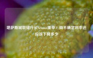 堪萨斯城联储行长Schmid重申：尚不确定利率还应该下降多少