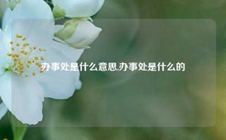 办事处是什么意思,办事处是什么的