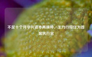 不足十个月华兴资本再换帅，王力行接任为首席执行官