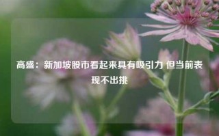 高盛：新加坡股市看起来具有吸引力 但当前表现不出挑