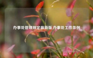 办事处管理规定最新版,办事处工作条例