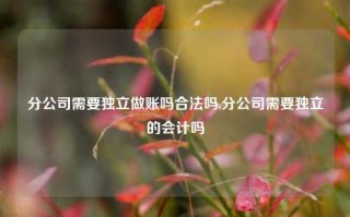 分公司需要独立做账吗合法吗,分公司需要独立的会计吗