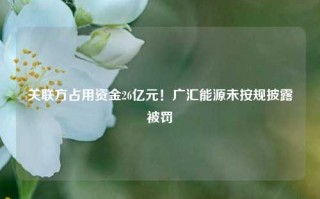 关联方占用资金26亿元！广汇能源未按规披露被罚