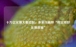 十万亿化债大幕拉起，多家行高呼“用足用好化债政策”