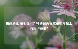 抬高通胀 削弱经济？特朗普关税政策被摩根士丹利“狠批”