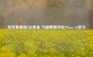 传苹果豪掷1亿美金 力图解除印尼iPhone 16禁令