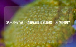 多只FOF产品，调整业绩比较基准，所为何因？