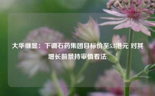 大华继显：下调石药集团目标价至5.5港元 对其增长前景持审慎看法