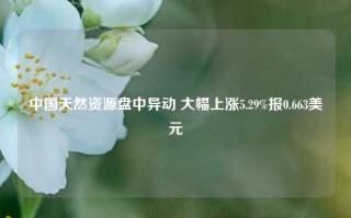 中国天然资源盘中异动 大幅上涨5.29%报0.663美元