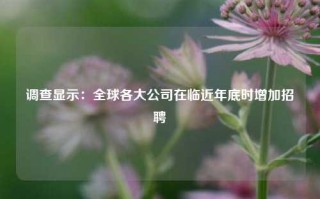 调查显示：全球各大公司在临近年底时增加招聘