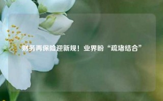 财务再保险迎新规！业界盼“疏堵结合”