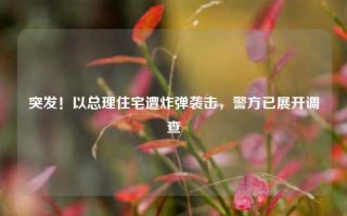 突发！以总理住宅遭炸弹袭击，警方已展开调查