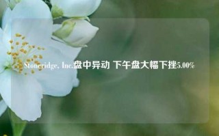 Stoneridge, Inc.盘中异动 下午盘大幅下挫5.00%