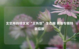 北交所持续优化“主阵地”生态圈 将推专精特新指数