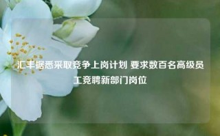 汇丰据悉采取竞争上岗计划 要求数百名高级员工竞聘新部门岗位