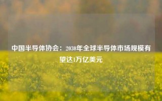 中国半导体协会：2030年全球半导体市场规模有望达1万亿美元