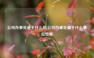 公司办事处是干什么的,公司办事处属于什么单位性质